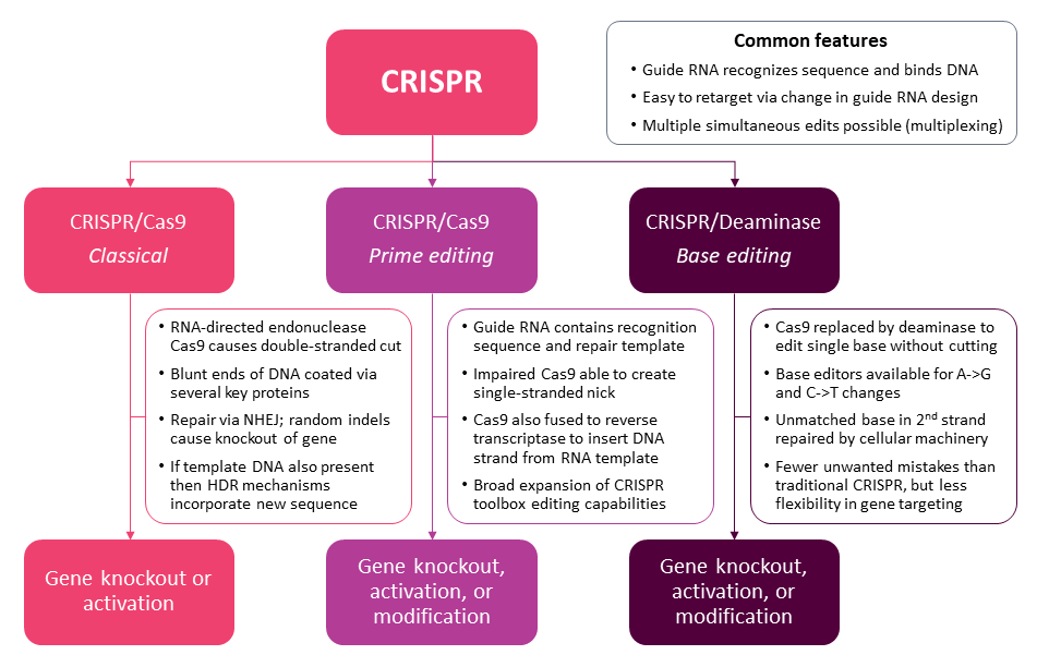 Evolution And Expansion Of CRISPR Capabilities