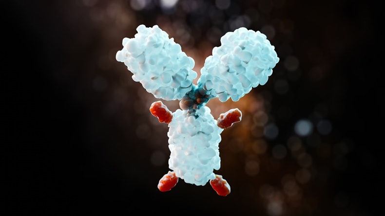 Antibody Drug Conjugate