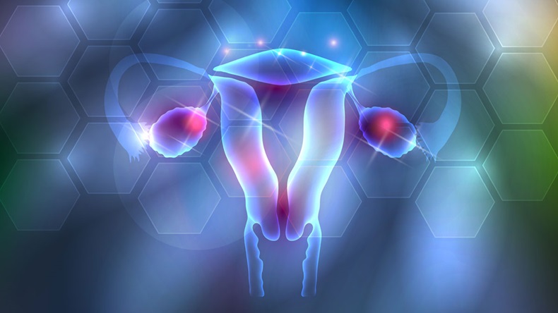 Female uterus and ovaries abstract background.