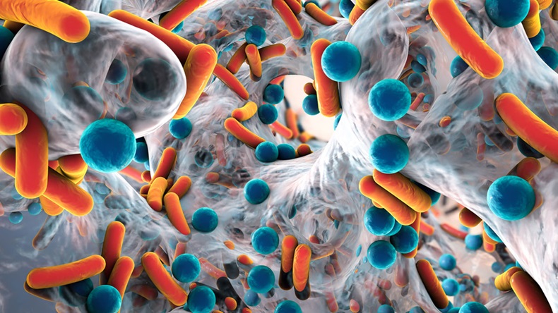 Antibiotic resistant bacteria closeup biofilm